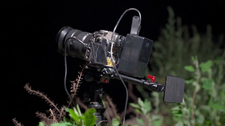 Under the canvas of the night sky, a Perseids Meteor Shower awaits. Unlock the...